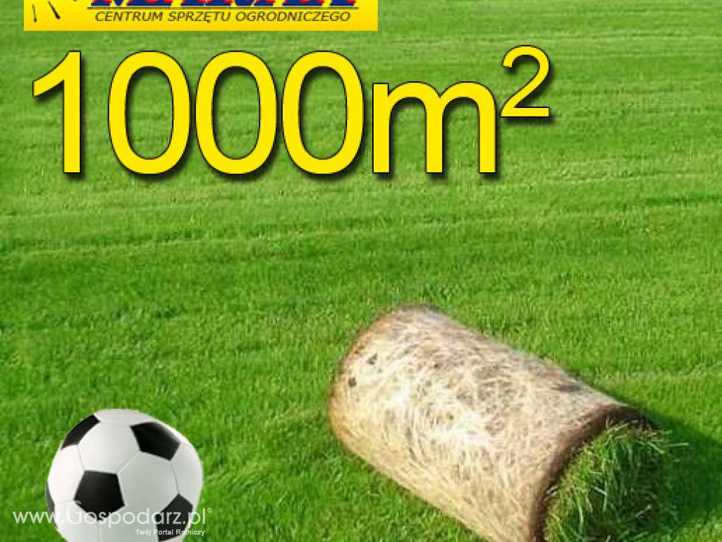 Trawa z rolki, trawa rolowana SPORTOWA 1000m2trawa z rolki na boiska sportowe, darń w rolce