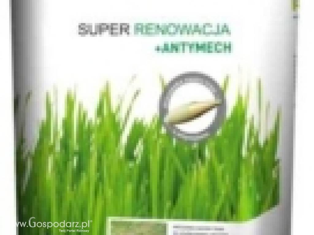 Trawa, nasiona trawy SUPER RENOWACJA +  ANTYMECH masa: 3kg,  mieszanka do uzupełniania uszkodzonych trawników Rolimpex