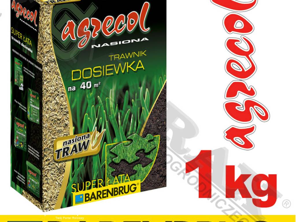 Trawa, nasiona trawy BARENBRUG / AGRECOL SUPER ŁATA masa: 1 kg, na 40m2,  trawnik dosiewka