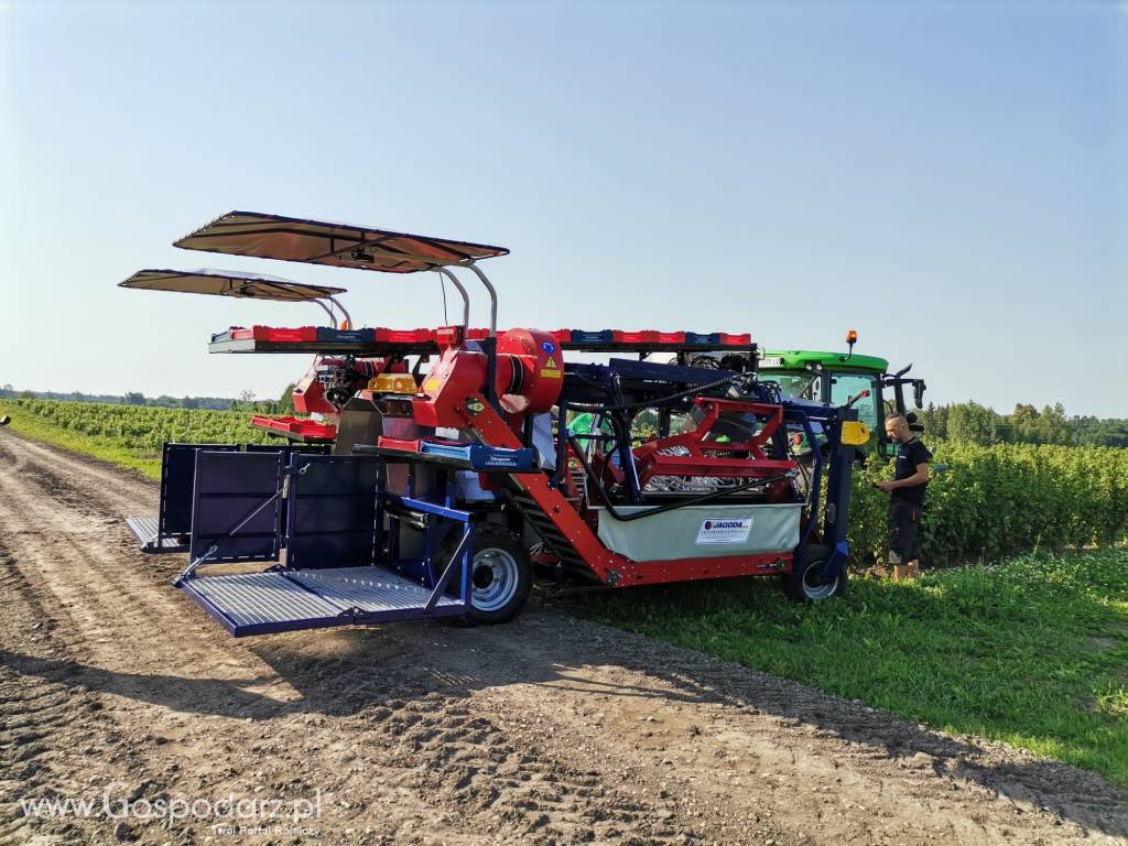 Kombajn Do Owoców Jagodowych OSKAR A01