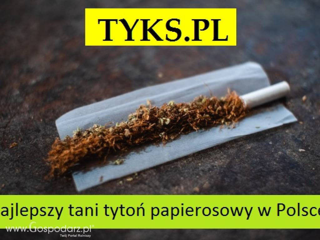 Tytoń krojony nitka, na kilogramy, zamów przez internet - Inne