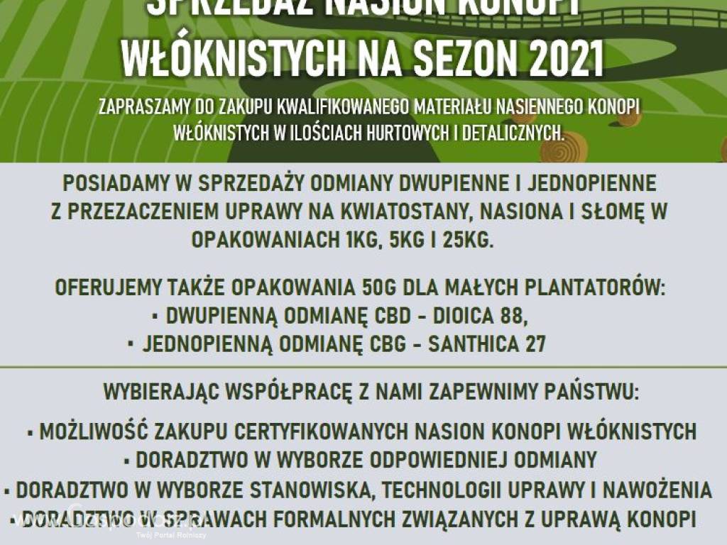 Certyfikowany materiał nasienny konopi włóknistych 2021