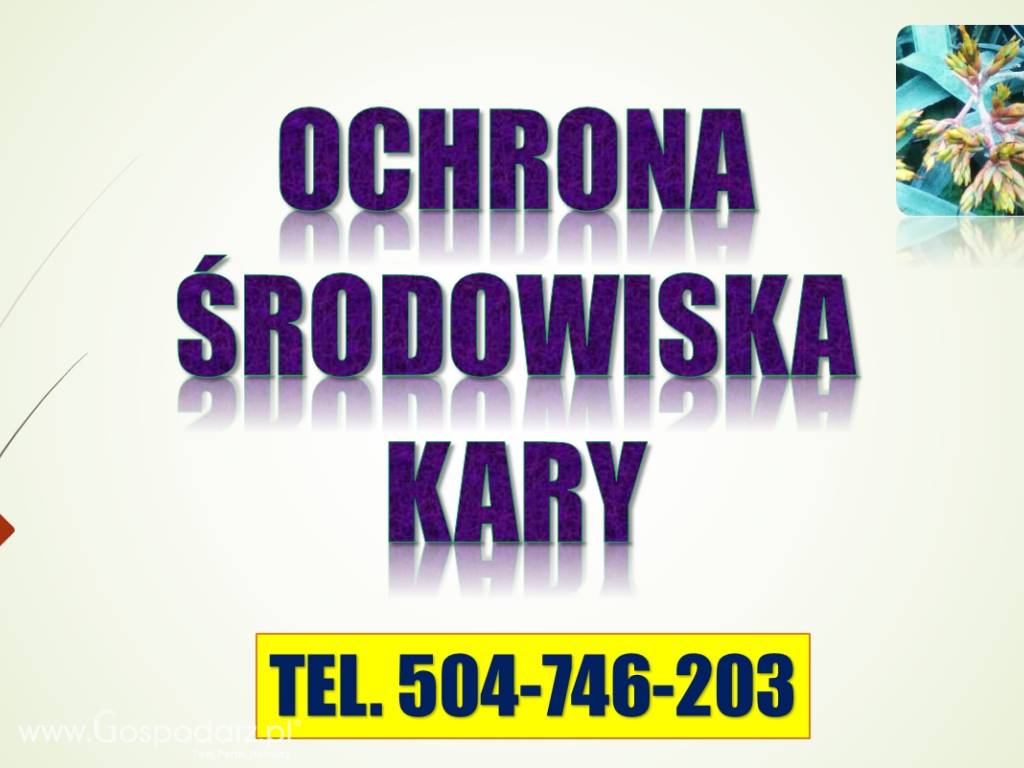 Odwołanie od kary - ochrona środowiska