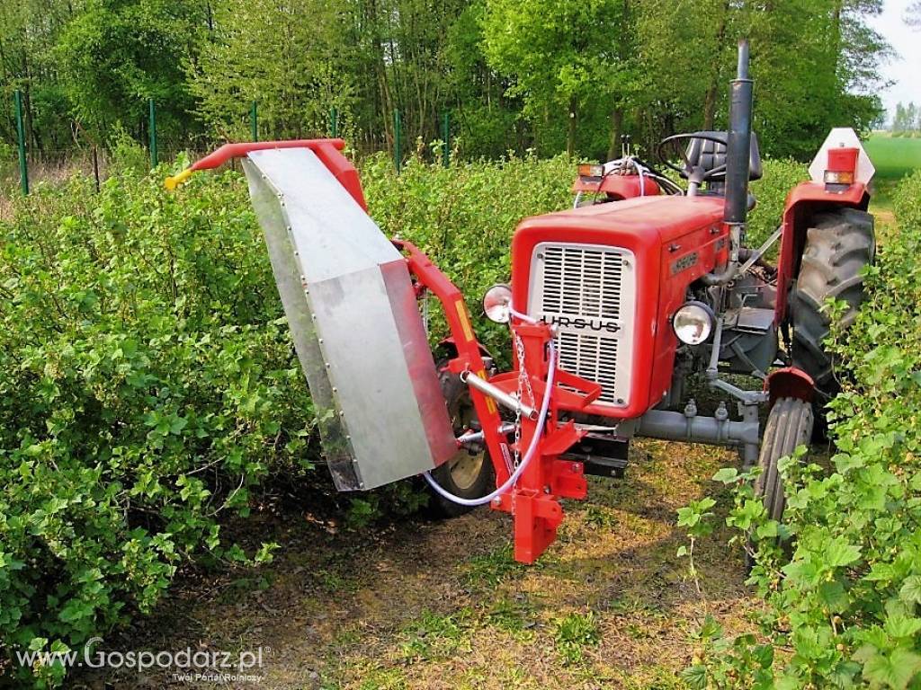 Belka herbicydowa TEKLA