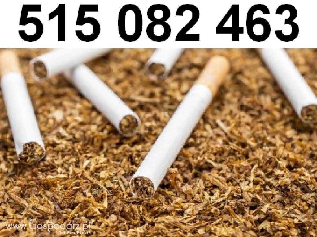 Tani tytoń 1kg - 500g + dostawa gratis jeśli zamówisz 5kg - EXPRESS! 3
