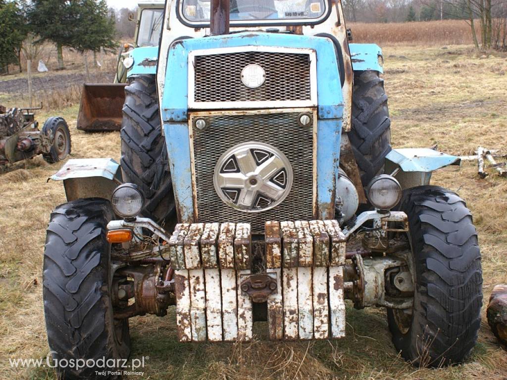 Traktor Fortschritt ZT 303 zarejestrowany 4