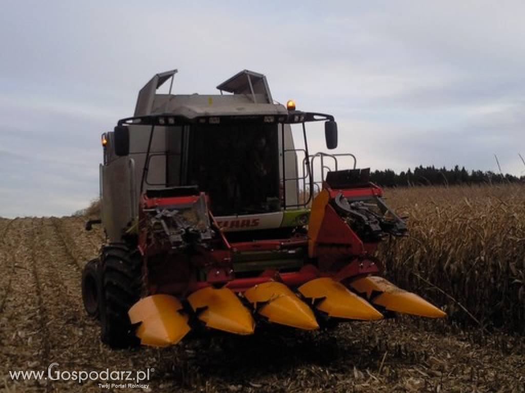 Heder do zbioru kukurydzy 4