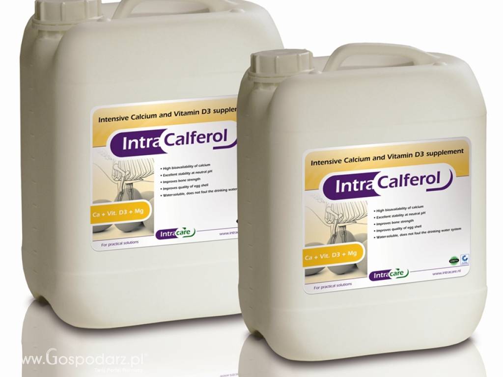 INTRA CALFEROL 5L - preparat dla drobiu: kości / skorupy jaj