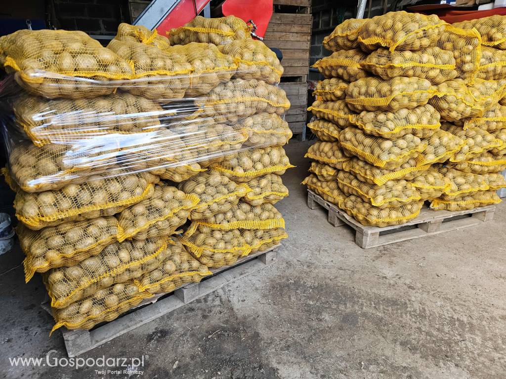 Ziemniaki jadalne Soraya. Marchew Pietruszka Buraczki