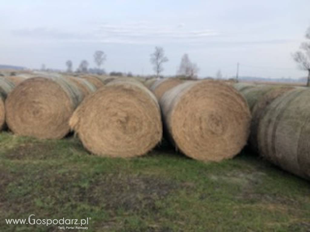 SPRZEDAM SIANO W BALOTACH 160X120 3