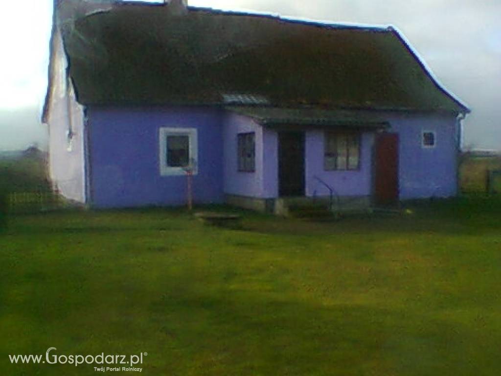 Gospodarstwo rolne na Warmii Maz. tanio sprzedam !