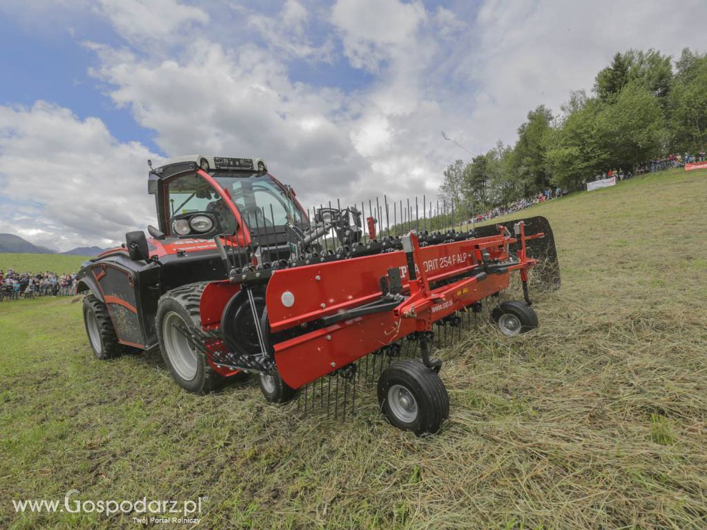 Przetrząsacz taśmowy SIP FAVORIT 254/254 F ALP