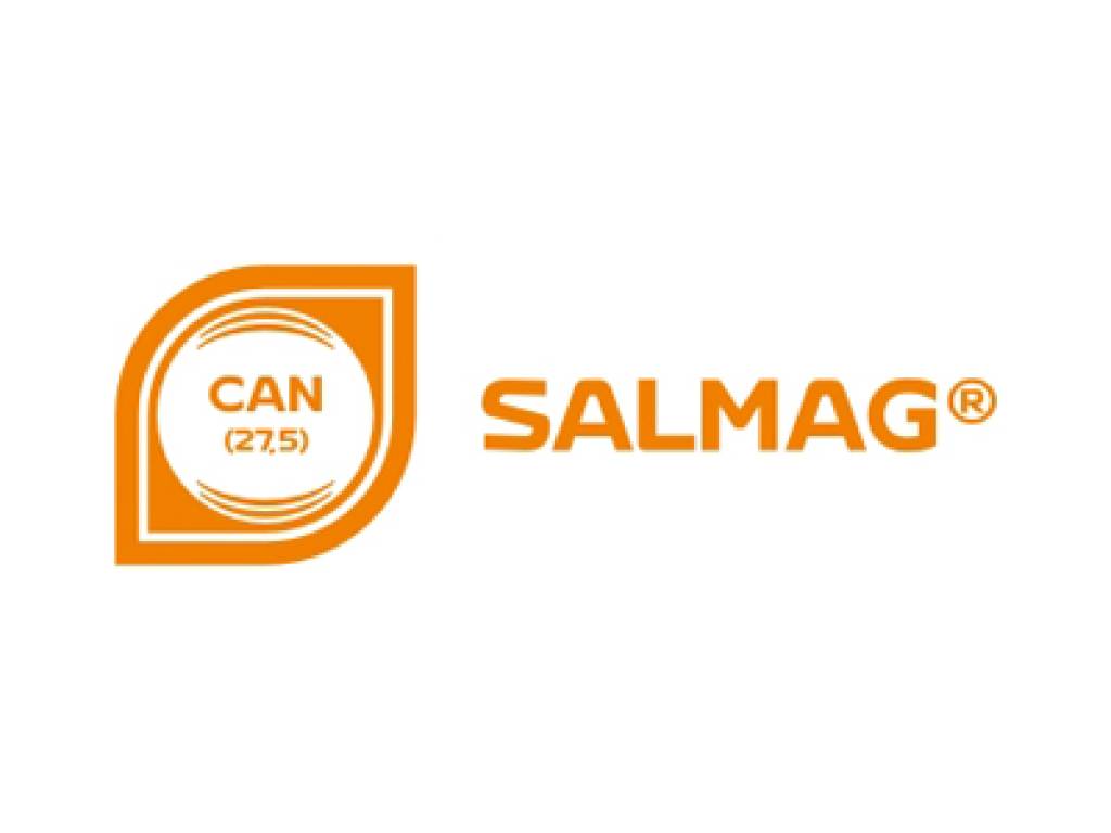 Salmag 3