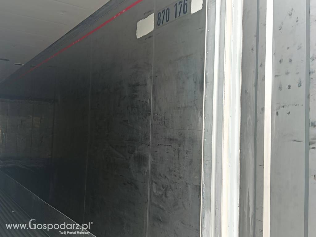 Chłodnia 12 metrowa / kontener chłodniczy 5