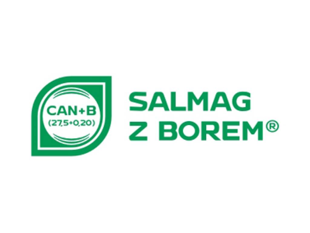 Salmag z Borem 3