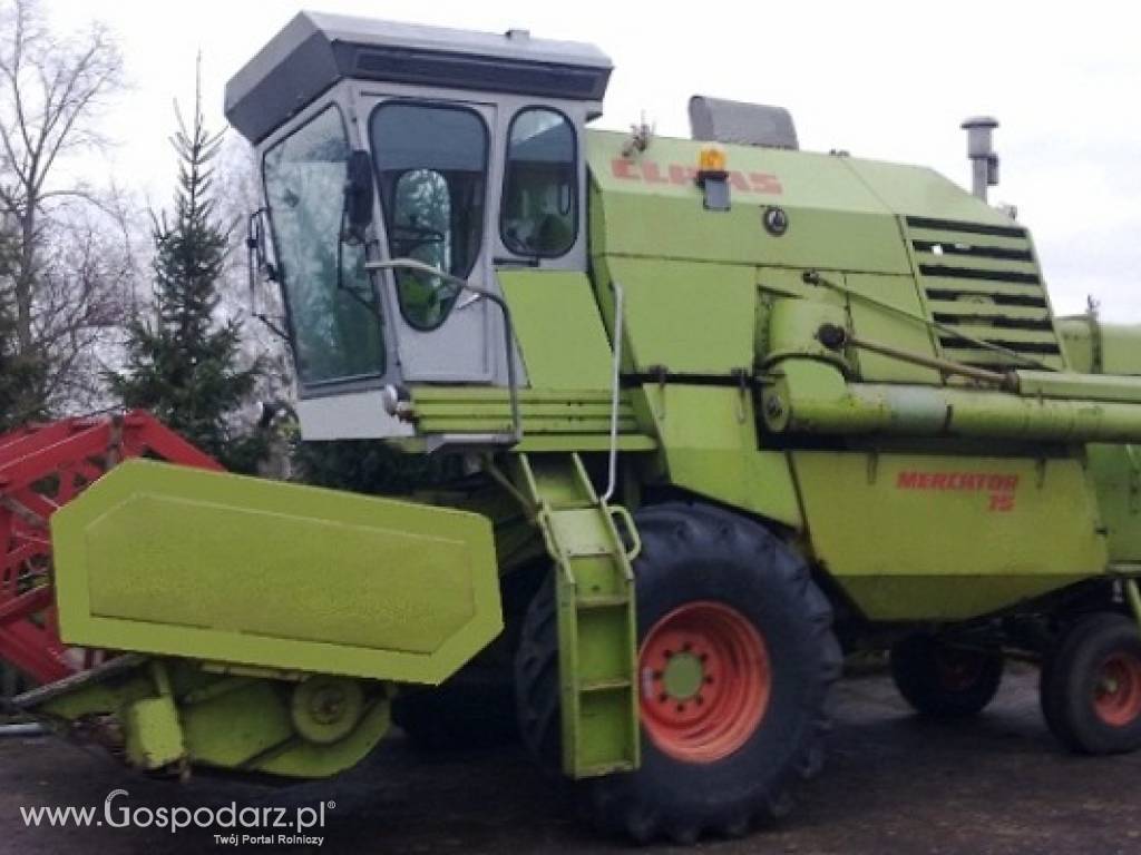SPRZEDAM CLASS MERCATOR 75