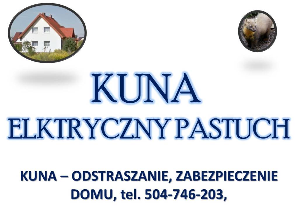 Zabezpieczenie domu przed kuną, Elektryczny pastuch. 3