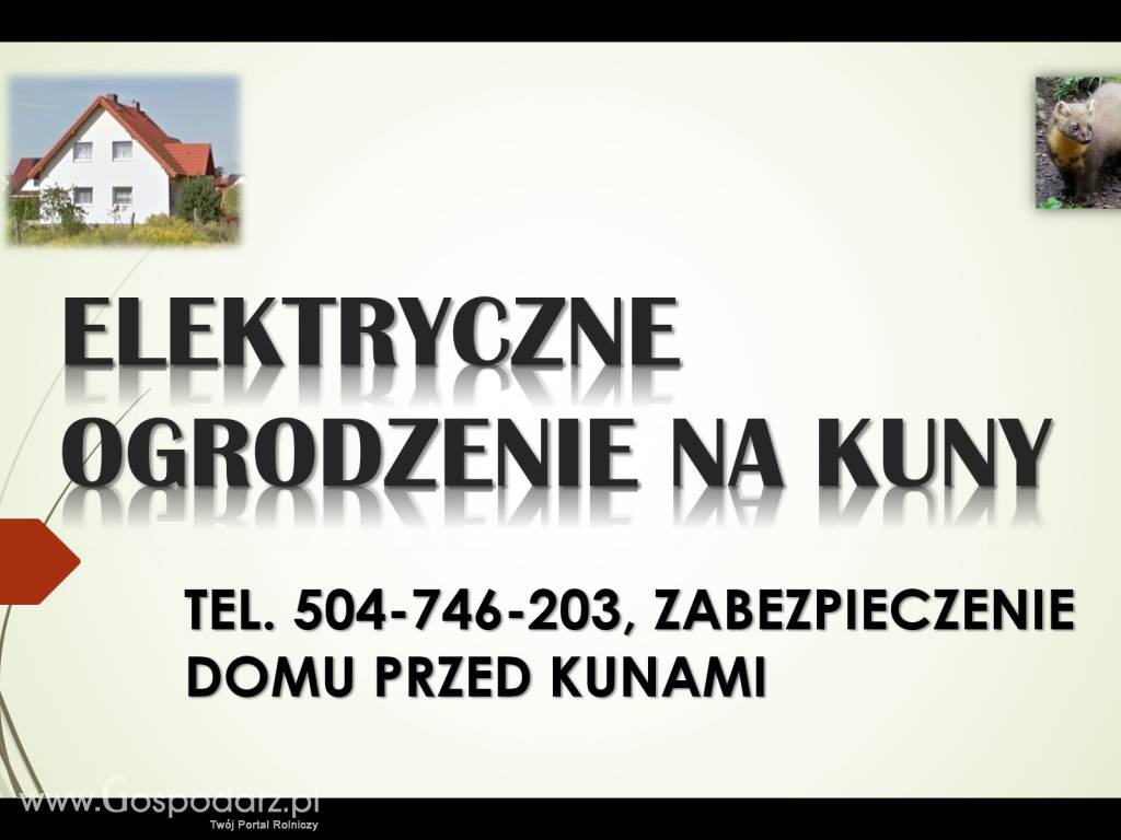 Zabezpieczenie domu przed kuną, Elektryczny pastuch. 6