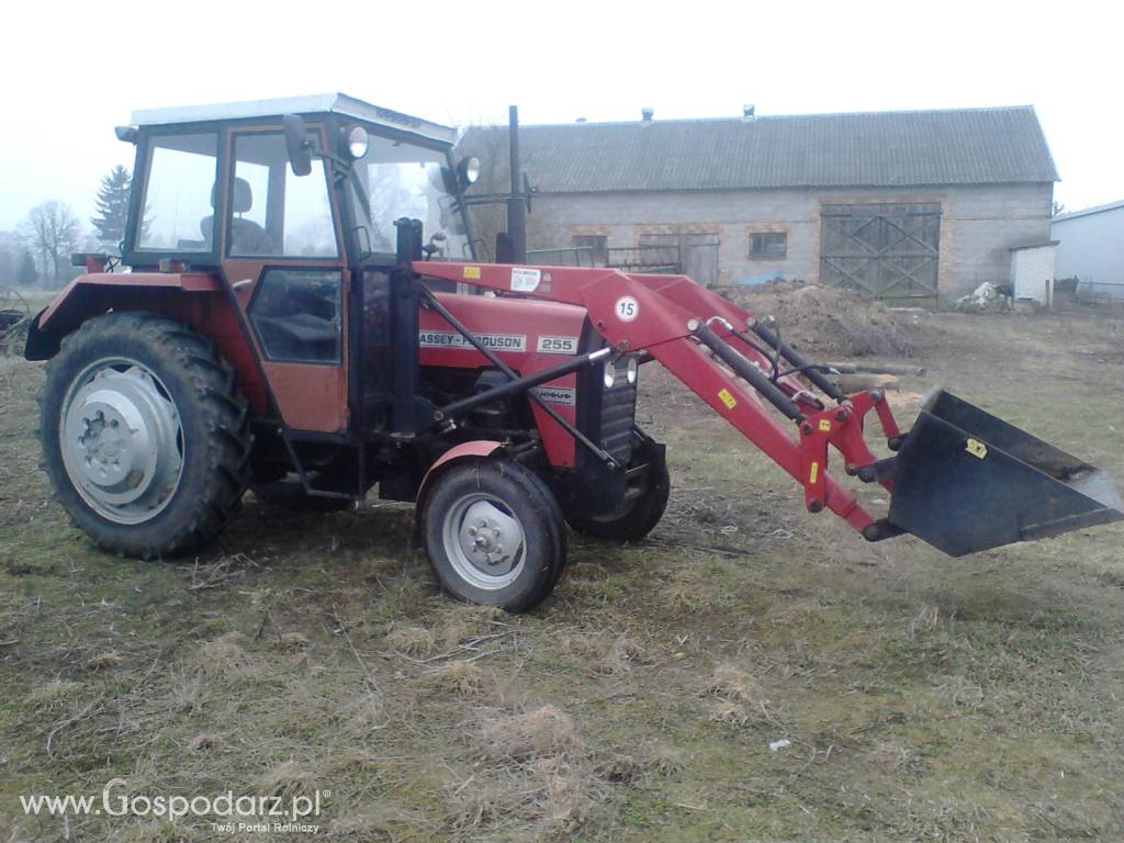 Pilnie sprzedam Ciagnik z turem MF 255 ferguson 4