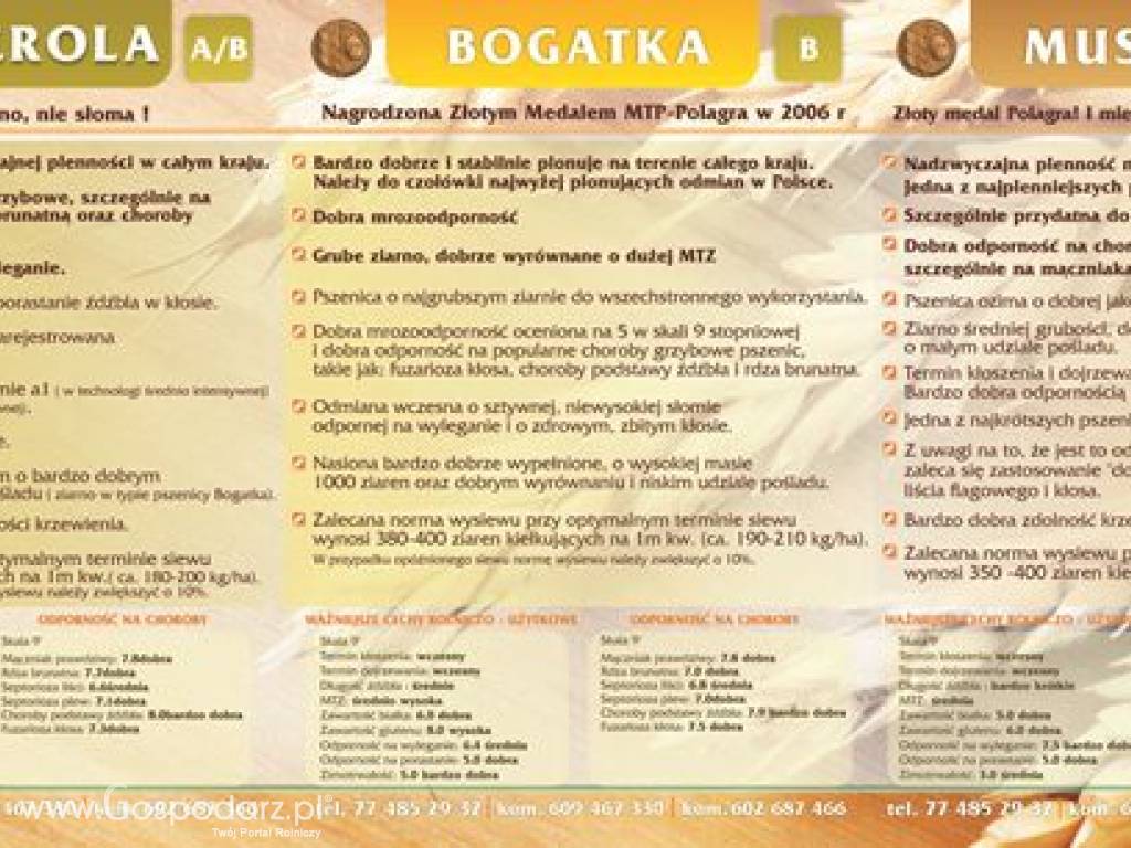 materiał siewny, kwalifikat, mauszlka, bogatka , banderola , figura 3