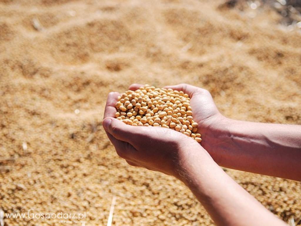 Kredyty dla rolników. Finansowanie Agro. Trudne kredyty.