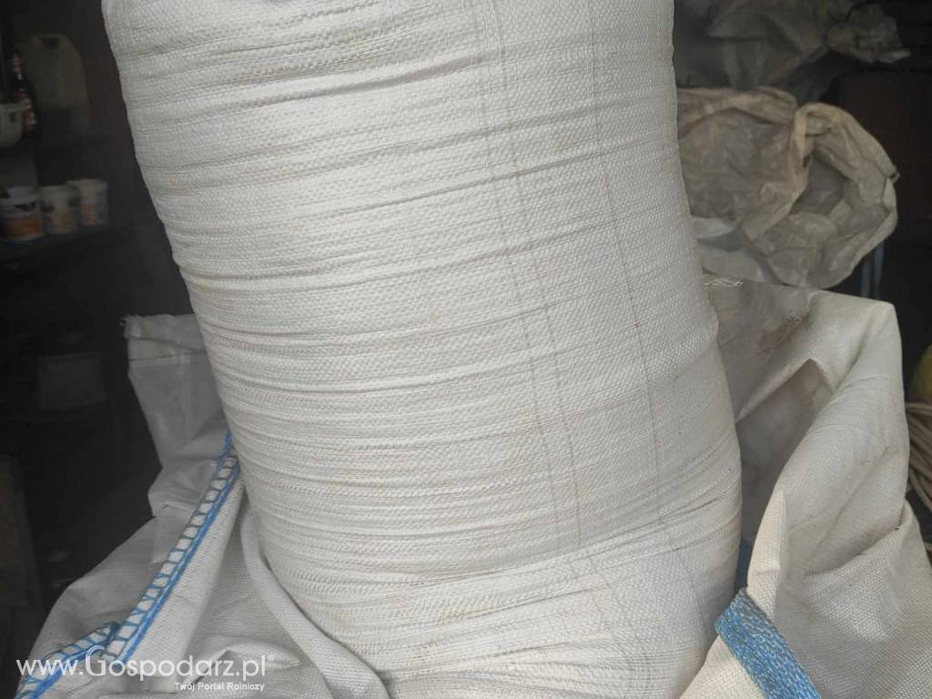 Pszenica 2023 50 kg za 40 zł 3