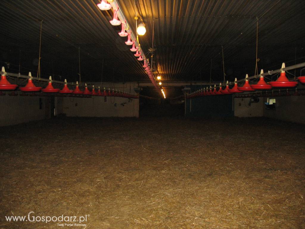 Piana pur- Izolacje,Izomedia 6