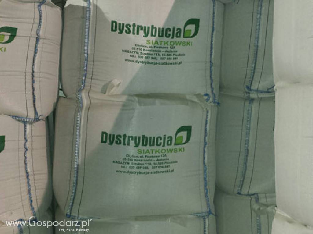 Kwalifikowane nasiona siewne Grochu Siewnego Batuta C/1 4