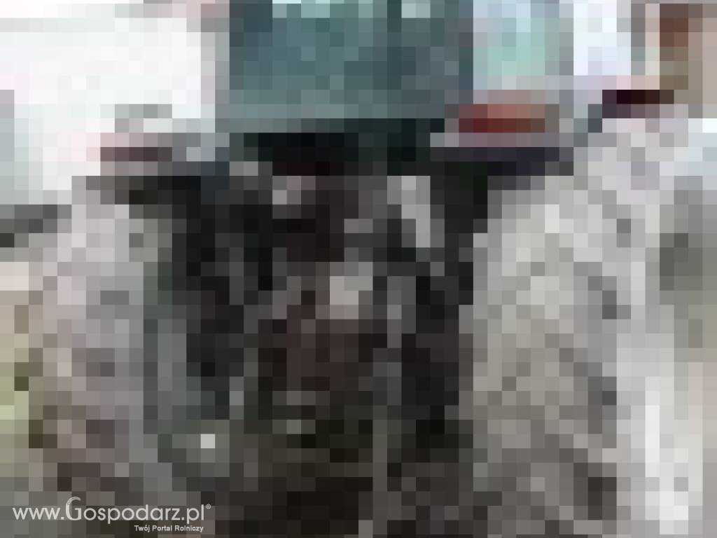 Massey Ferguson 3080 okazja 4