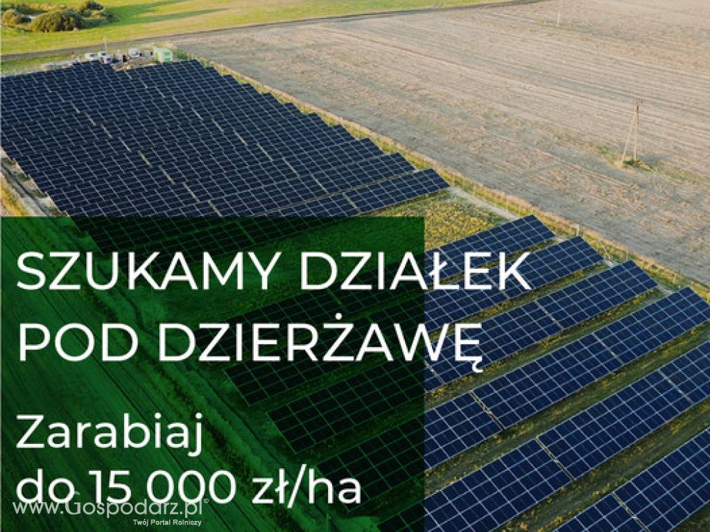 DZIERŻAWA GRUNTÓW POD FARMY FOTOWOLTAICZNE - do 15000 ZŁ ZA 1 HA!