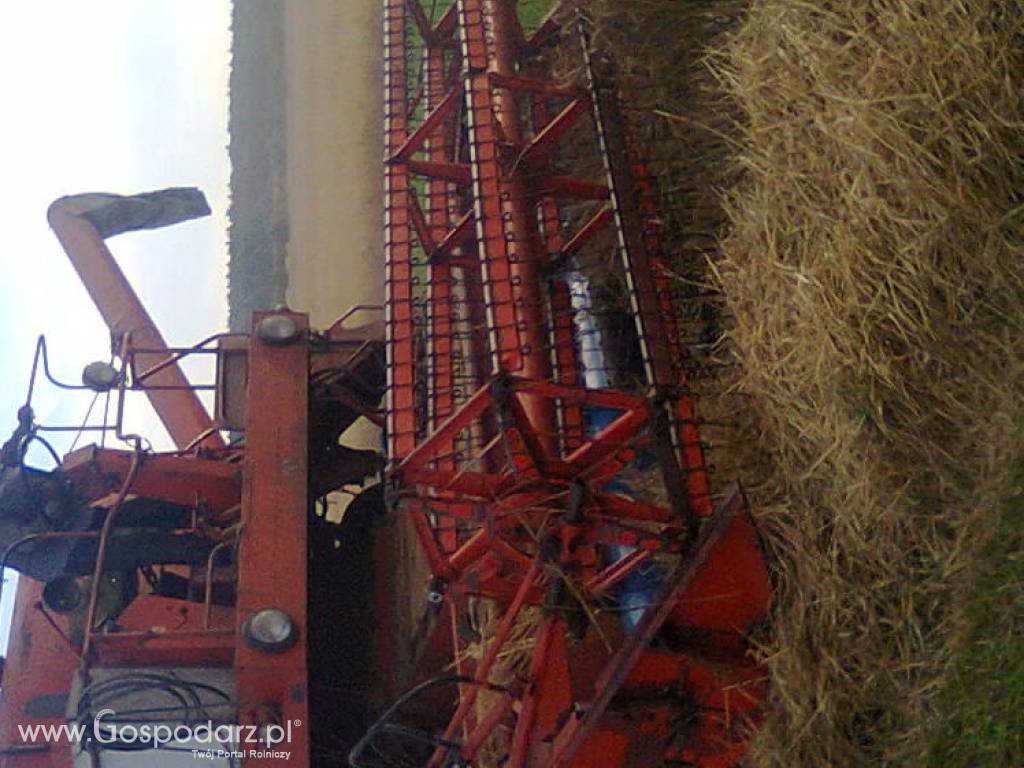 Sprzedam Bizon Z-056 z sieczkarnią