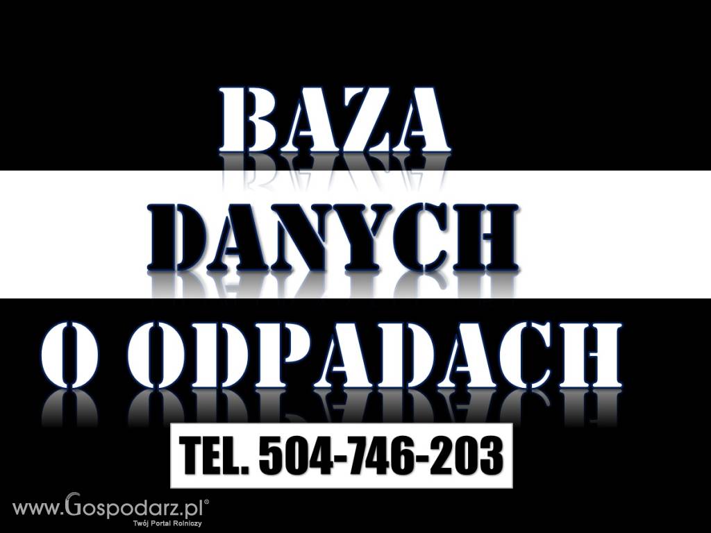 Rejestr BDO, odpady 3