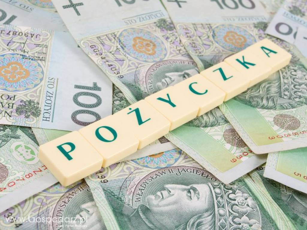 Pożyczki  Hipoteczne Pod  Grunty Rolne Bez Bik 3