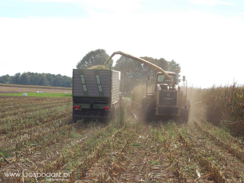 Przyczepa objętościowa typ SILO 50 7