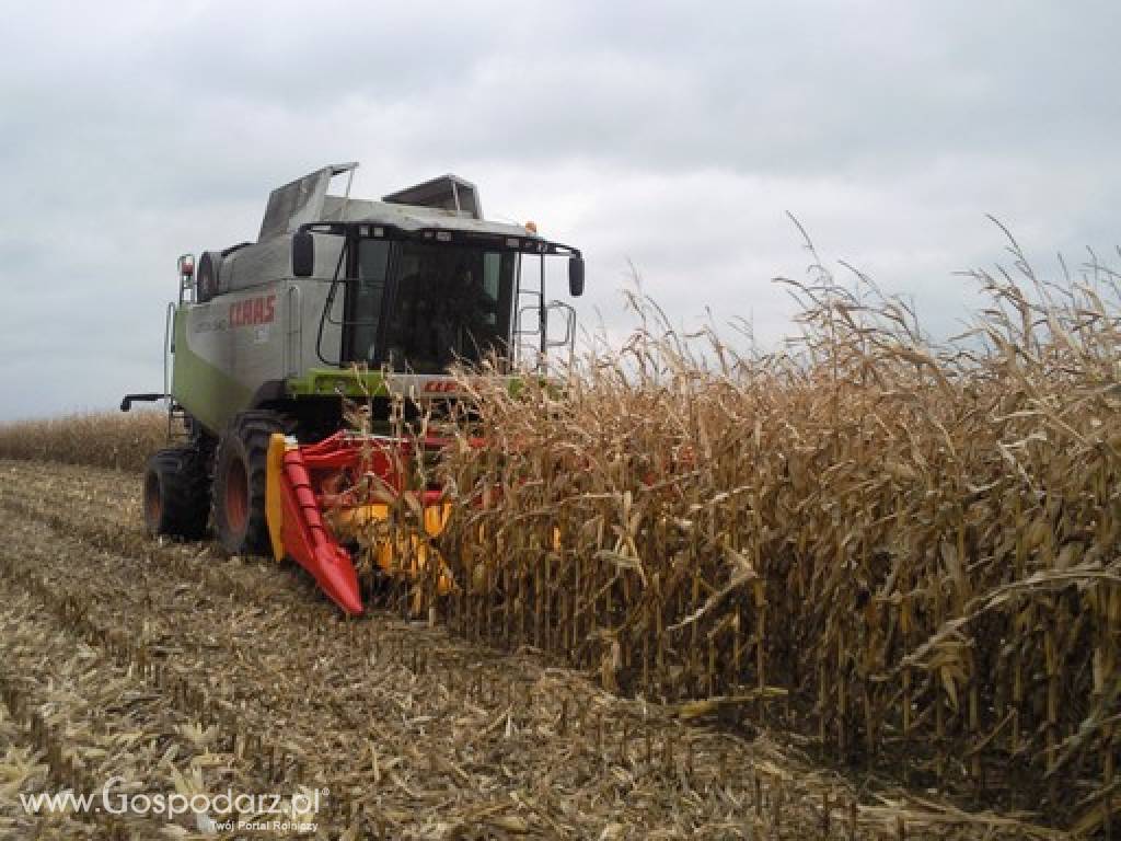 Heder do zbioru kukurydzy
