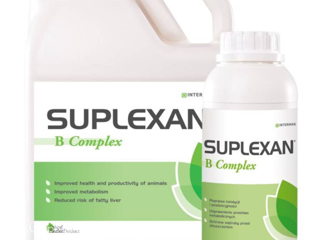 Suplexan B Complex witaminy B, niacyna, wzmocnienie