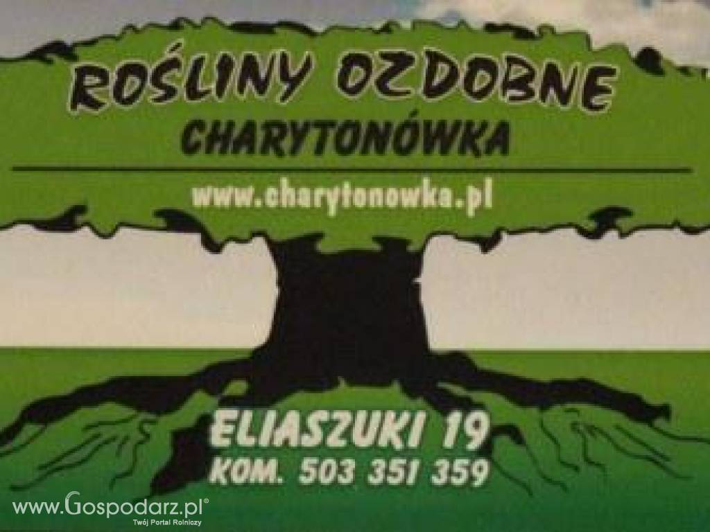 Szkółka Roślin Ozdobnych 