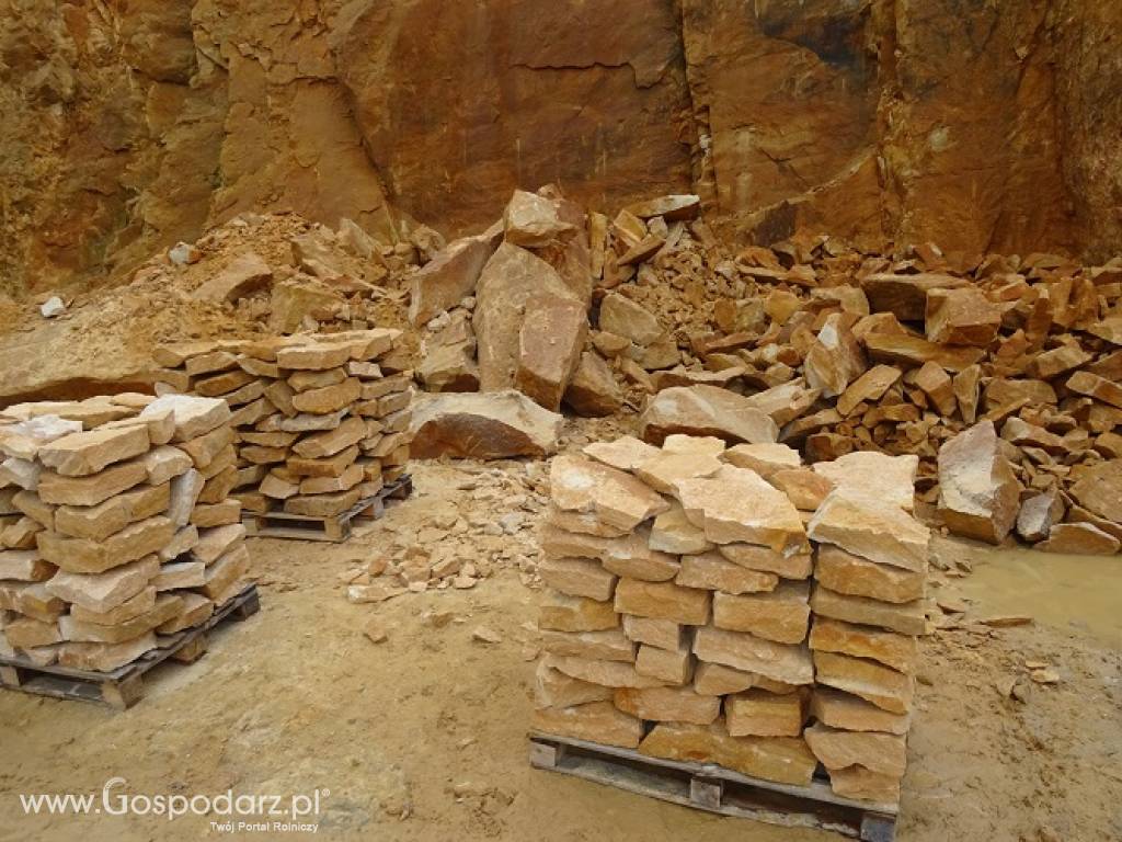 Dzikówka ogrodowa na skarpy oczko wodne kamień ogrodowy do ogrodu 9