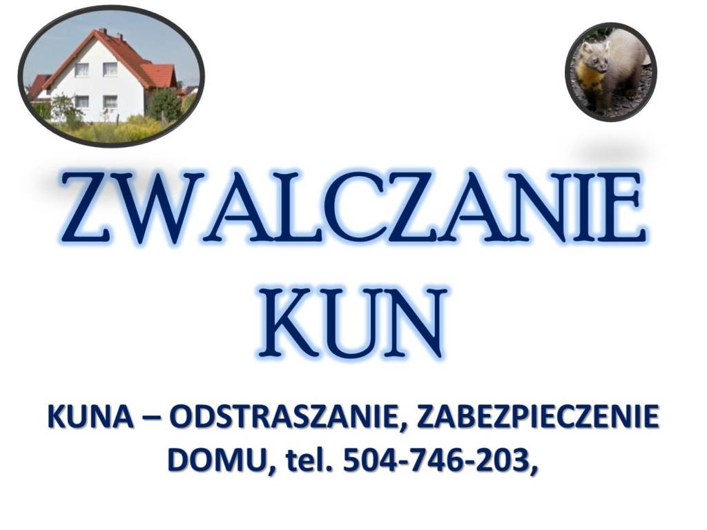 Zabezpieczenie domu przed kuną, Elektryczny pastuch. 4