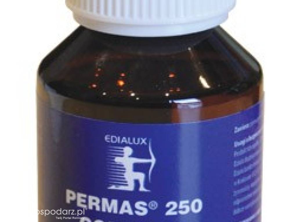 PERMAS 250 COMBI EC 100 ml - preparat na owady