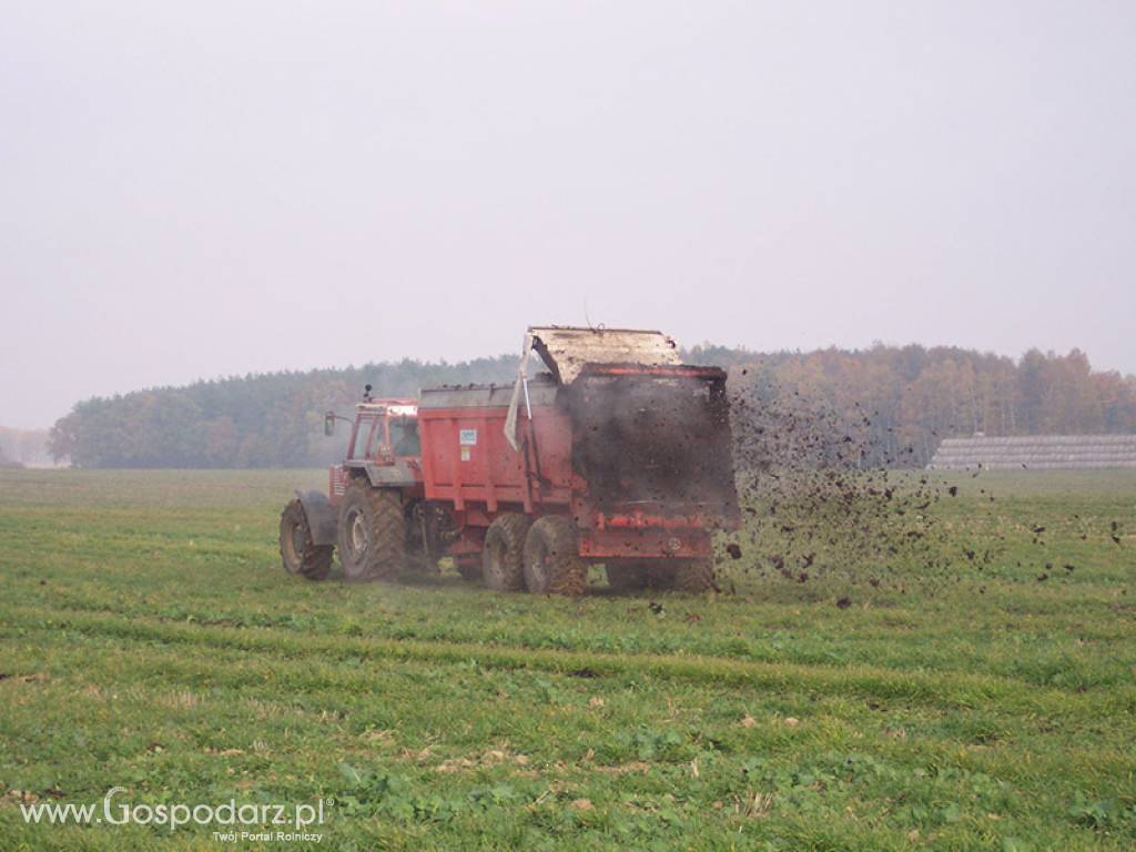 Rozrzutnik do obornika i wapna EV 2000 190-60 BG 14 TON