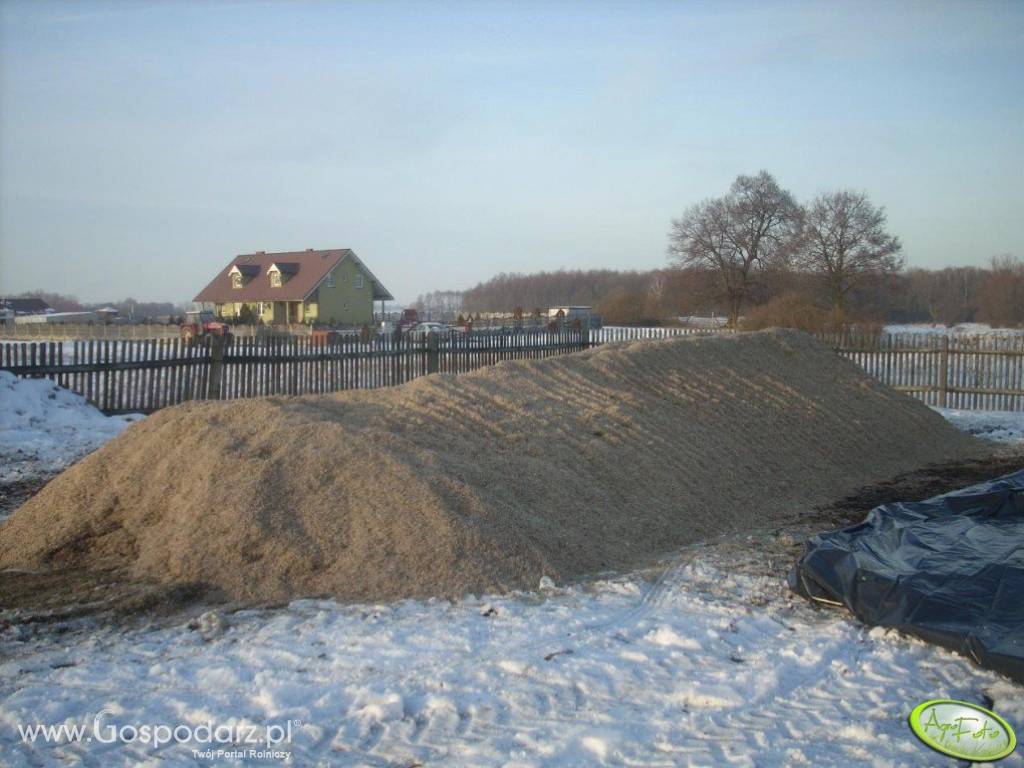 Wysłodki buraczane mokre,prosto zsypu świeżutkie