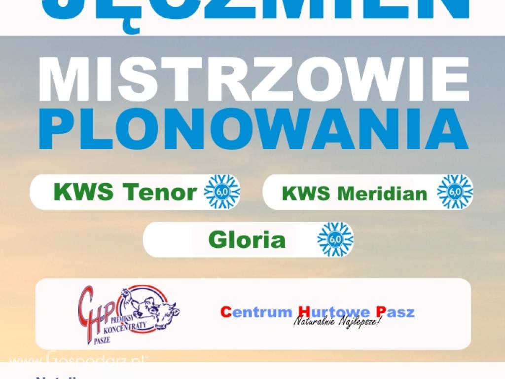 Kwalifikowany materiał siewny zbóż ozimych