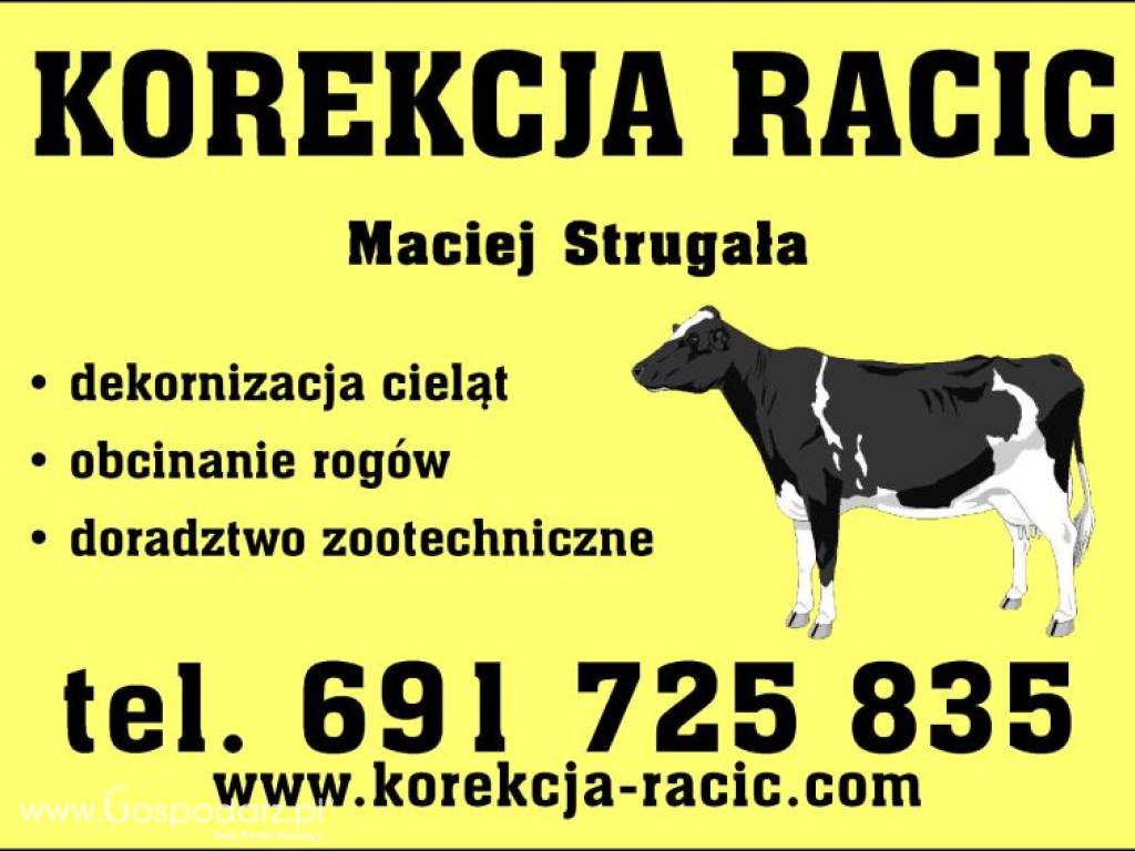 Kompleksowa korekcja racic