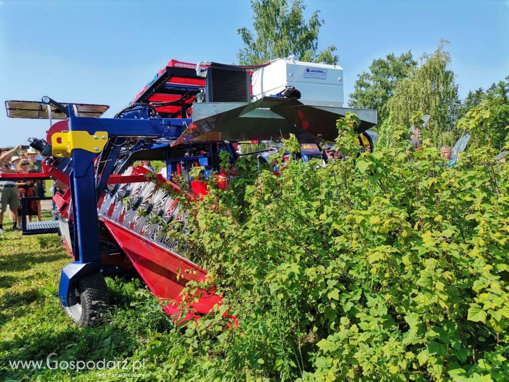 Kombajn Do Owoców Jagodowych OSKAR A01 3