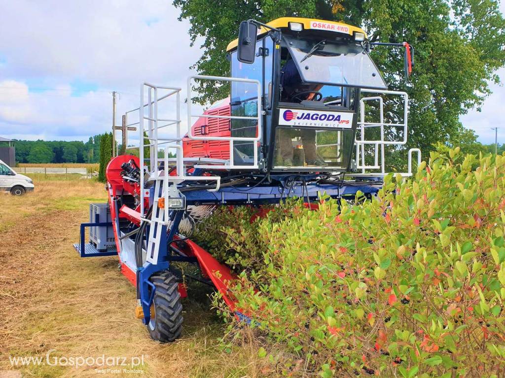 Samojezdny kombajn do porzeczki OSKAR 4WD 5