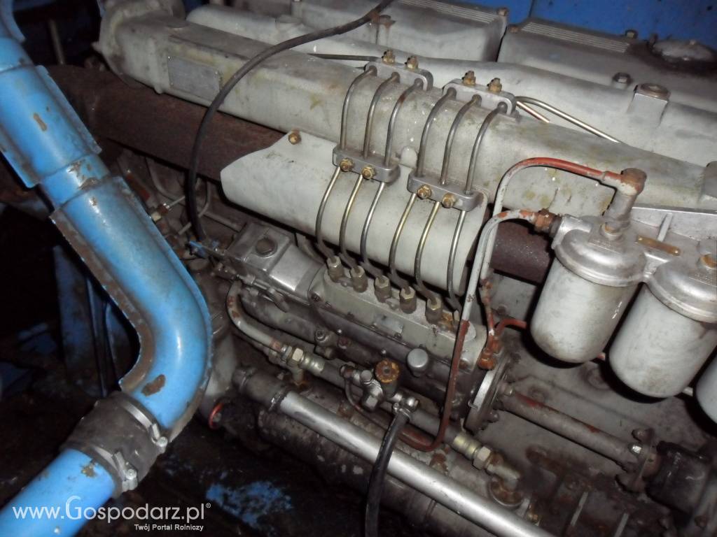 Kombajn zbozowy Bizon Z110 8
