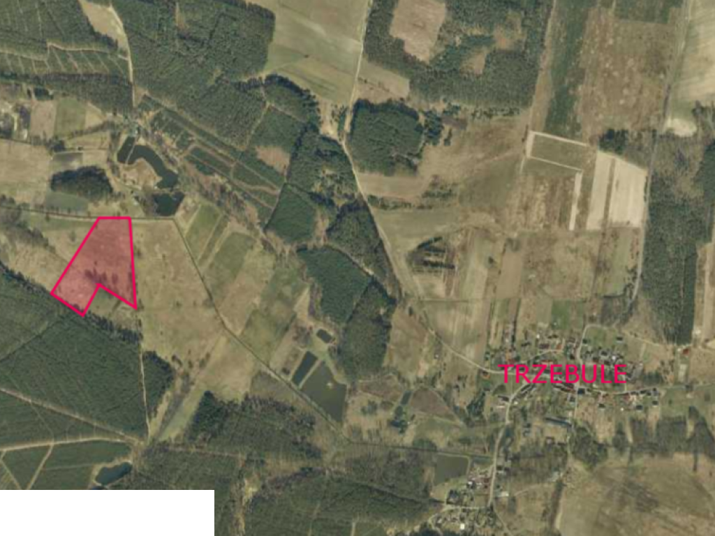 Sprzedam działki rolne w Trzebulach