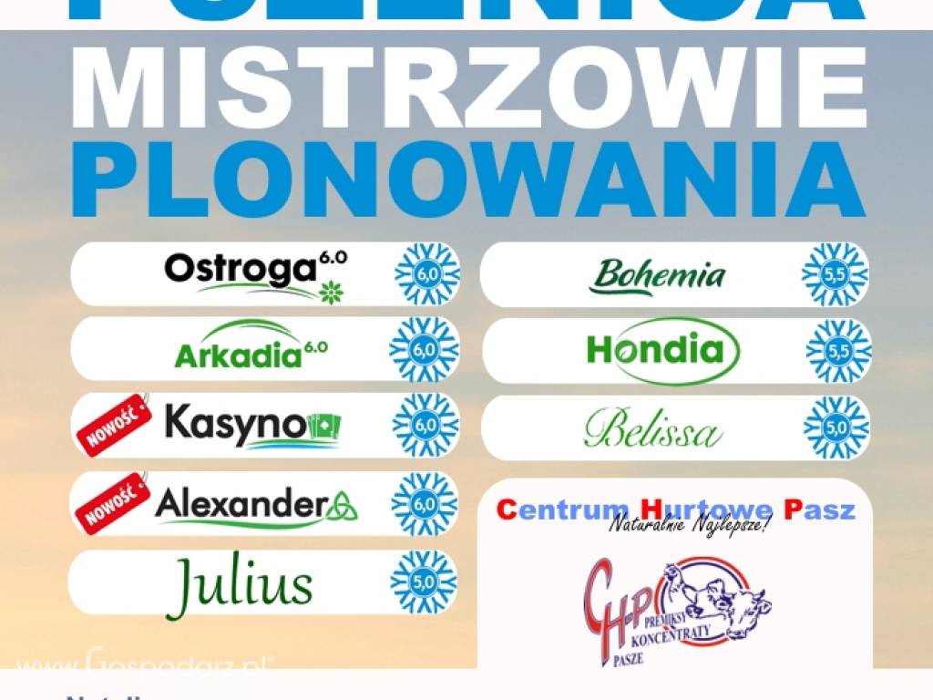 Kwalifikowany materiał siewny zbóż ozimych