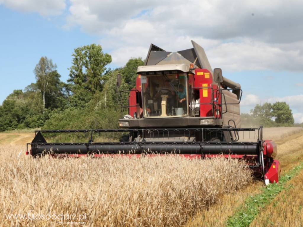 Kombajn Zbożowy PALESSE GOMSELMASH GS12 A1